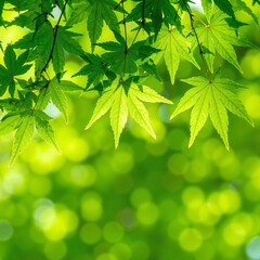 Vibrant green leaves in high-definition, showcasing intricate textures and varying shades of green, perfect for nature-inspired wallpaper designs.