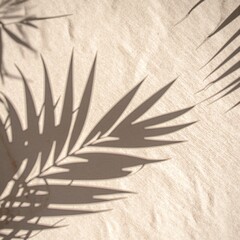 A delicate interplay of shadows cast by lush palm leaves dances across a pristine white wall, creating an intricate pattern of nature's artistry.