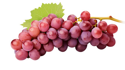Fototapeta premium bunch of wine grapes with green leaves on white background