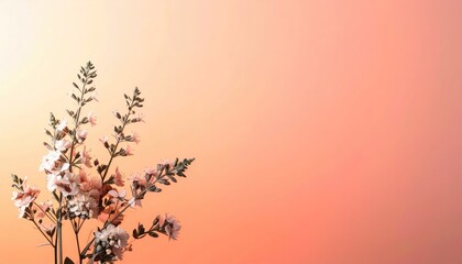 Delicate Pink And Orange Flowers Against Soft Gradient Background