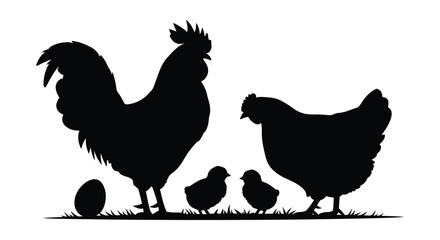 farm animals rooster hen chicks grassy field silhouette