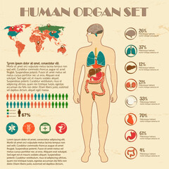 Hospital medical medical elements human body structure poster display board silhouette