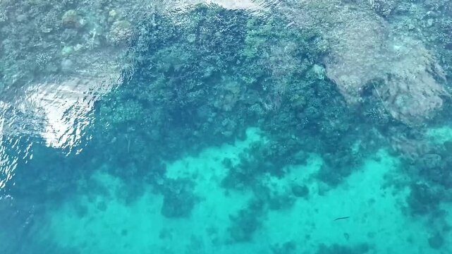 Beautiful aerial 4K footage of coral reef formations beneath transparent turquoise seawater, showcasing marine biodiversity and natural underwater scenery.