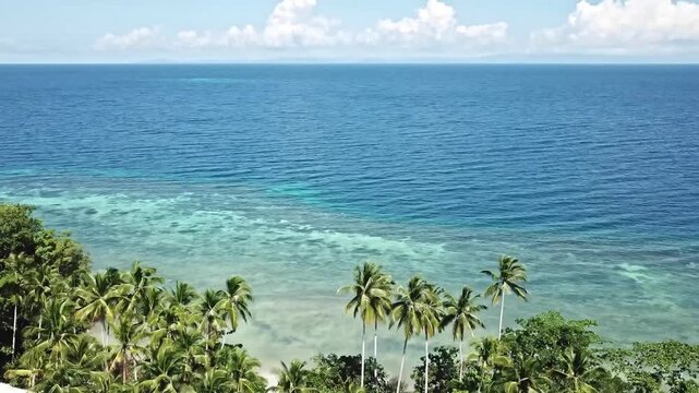 Stunning 4K aerial footage of tropical coastline with dense green jungle, palm trees, sandy beach, and vibrant turquoise blue ocean under a bright sunny sky.