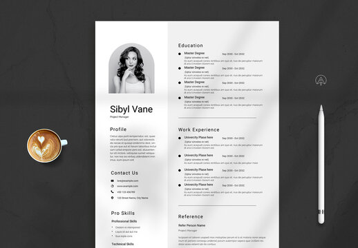 Clean Professional Resume