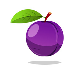 Single plum fruit vector isolated on white background.