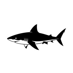 Obraz premium shark vector illustration