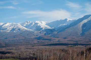 晩秋の晴れた日の雑木林と冠雪の山並み　十勝岳
