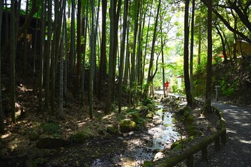医王山 油山寺参道