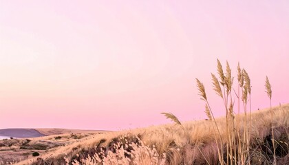Pink Sunset Over Coastal Grassland