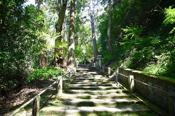 医王山 油山寺参道
