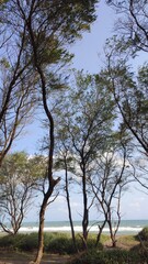 Obraz premium beautiful view natural landscape photography