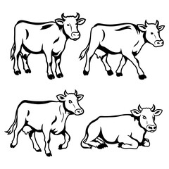 Set of Cow Outlines Vector Illustrations