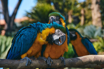 Fototapete bei efototapeten.de bestellen   