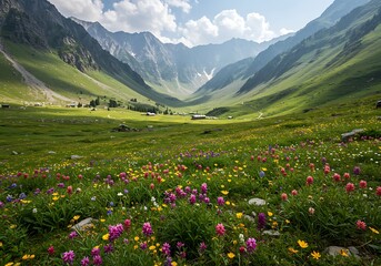 Alpine Meadow Wildflowers, Mountain Valley Landscape