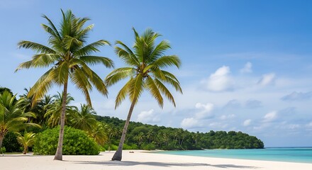 Fototapeta premium Tropical Beach Paradise with Palm Trees.