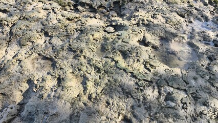 Close-up of weathered rock formations
