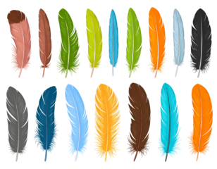 https - -www.freepik.com-premium-vector-vector-realistic-feathers-color-set-with-isola