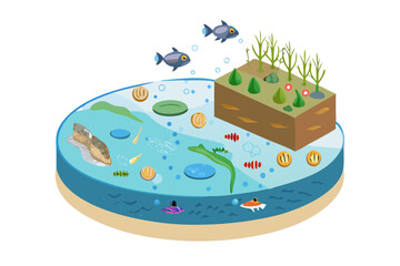 Crosssection of a pond ecosystem showing aquatic life and terrestrial plants