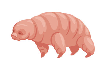 A pink tardigrade or water bear creature