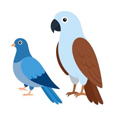 Obraz premium Blue bird, parrot, avian comparison, white background, educational chart