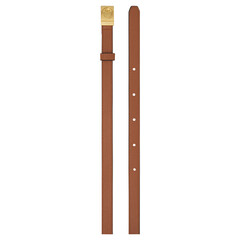 Minimalist brown leather belt with golden buckle fashion accessory detail