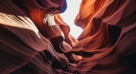 Swirling sandstone canyon walls rise, bathed in warm light