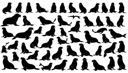 Obraz premium Black silhouettes of various seals