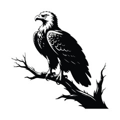 Obraz premium Majestic eagle perched on branch with freedom call design for posters and patriotic themes
