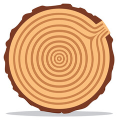 Detailed wood log cross section with tree rings, bark, and a saw cut vector illustration.