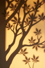 shadows on the wall from tree branches exposed to the soft summer sun