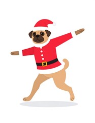 Pug in Santa suit, running