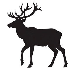 Obraz premium Silhouette of a deer