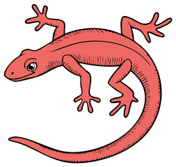 Fototapeta premium Illustration of a stylized red salamander, cartoon style, on a white background