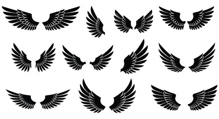 various styles of black wings spread out symmetrically