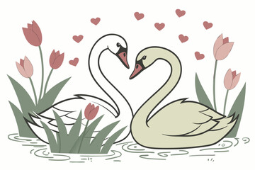 two swans on the lake