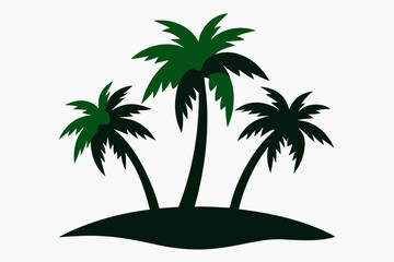 tropical palm tree
