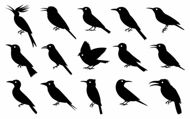 Vector art of collection of different birds silhouettes for design