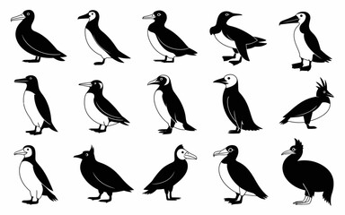 Vector art of collection of various auk species illustration