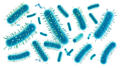 Microscopic bacteria cells multiplying against a black background for scientific or educational uses