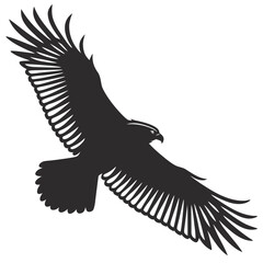 eagle vector illustration