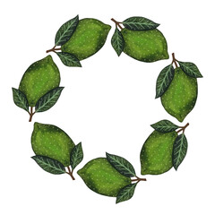 Watercolor lime wreath. Round frame of whole limes with leaves on white background.