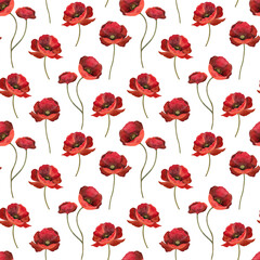 Watercolor red poppy seamless pattern. Poppy flowers on white background.