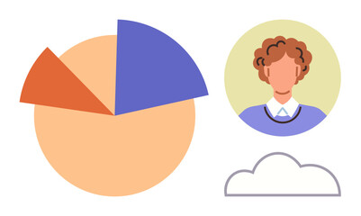 Pie chart with three segments, user profile icon, and cloud outline. Ideal for data visualization, business analysis, user demographics, digital communication, cloud storage, networking simple flat