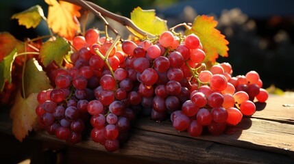 Beautiful appetizing juicy bunches of grapes. The theme of a healthy lifestyle and proper healthy eating.