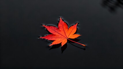 The picture shows a maple leaf. Maple leaves are often associated with autumn, and their vibrant red color in this season is a typical symbol of the fall foliage.
