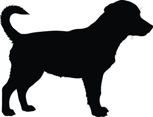Silhouette dog standing profile view domestic pet animal vector