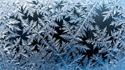 This is a picture of frost patterns. Frost patterns are formed when water vapor in the air freezes directly onto cold surfaces, creating these delicate and intricate crystal structures. 
