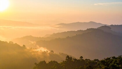Obraz premium Golden Mountain Range Landscape with Morning Sunlight and Fog in Tropical Setting
