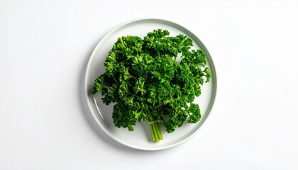 Fototapeta premium Fresh Green Curly Parsley on a White Plate.